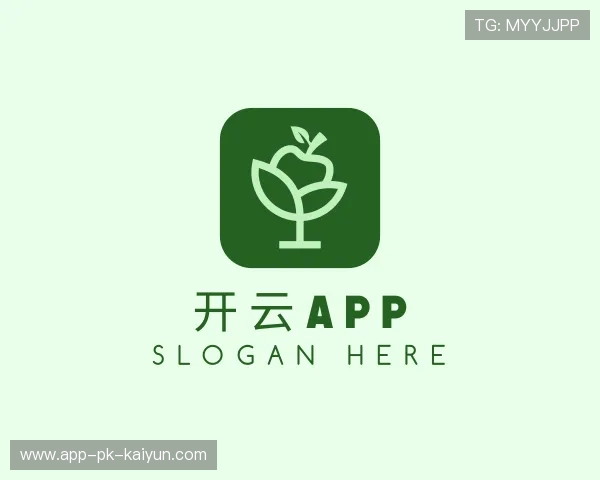 解读开云电竞服务